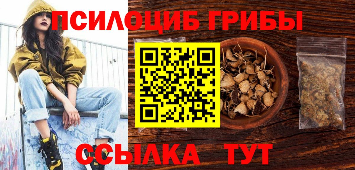 Псилоцибиновые грибы мицелий  Галлюциногенные грибы Psilocybe  Новозыбков  Вход с VPN 