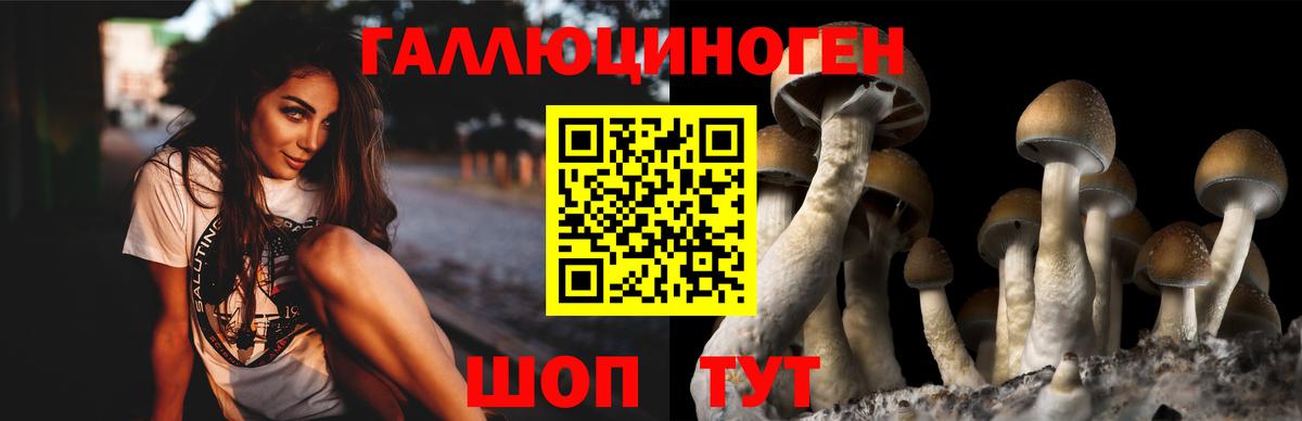 Галлюциногенные грибы мухоморы Новозыбков